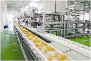 从4方面详解食品厂房装修的车间布置设计