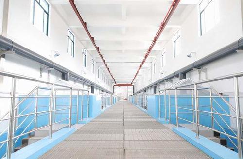 优于国家标准 武汉白鹤嘴水厂智慧系统让市民享受高品质自来水